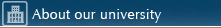 About our university