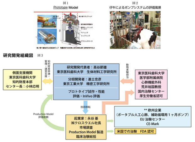 研究開発組織図
