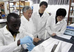 医学科4 年生の野口研における研修