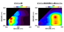 「層状リン酸カルシウムへの蛍光性テトラカルボン酸の導入に成功」【横井太史 准教授、川下将一 教授】