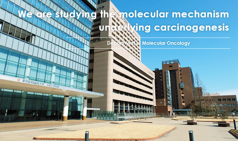 Department of Molecular Oncology
