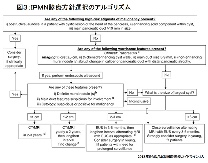 IPMN診療方針選択のアルゴリズム