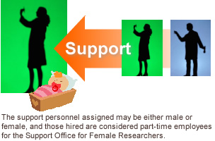 The support personnel assigned may be either male or female, and those hired are considered part-time employees for the Support Office for Female Researchers.