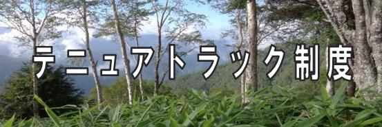 メディカル・トップトラック(MTT)制度の確立