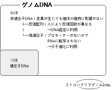 1 ゲノム 遺伝子 Dnaとは