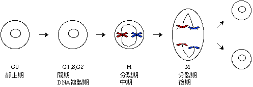 fig3-1