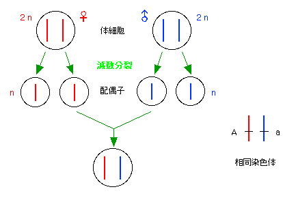 fig3-3