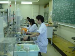 DSC00091