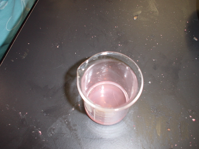 DSC02104.JPG