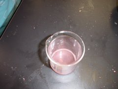 DSC02104.JPG