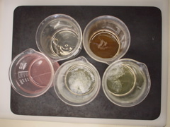 DSC02106.JPG