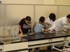 DSC02082.JPG