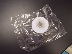 DSC02126.JPG
