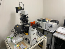 Confocal laser scanning microscope