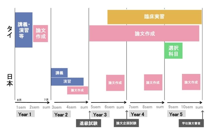 JDP Curriculum(English)
