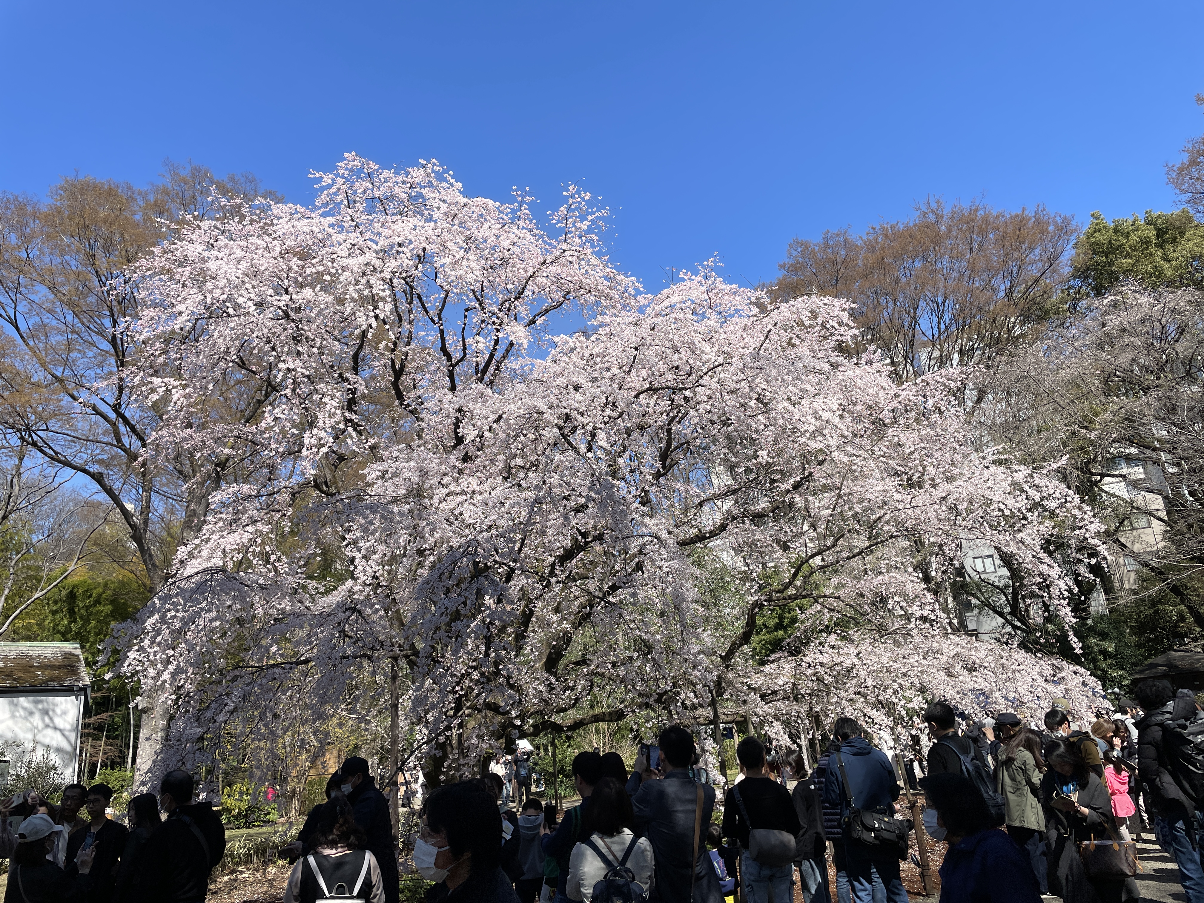 リエゾンセミナー