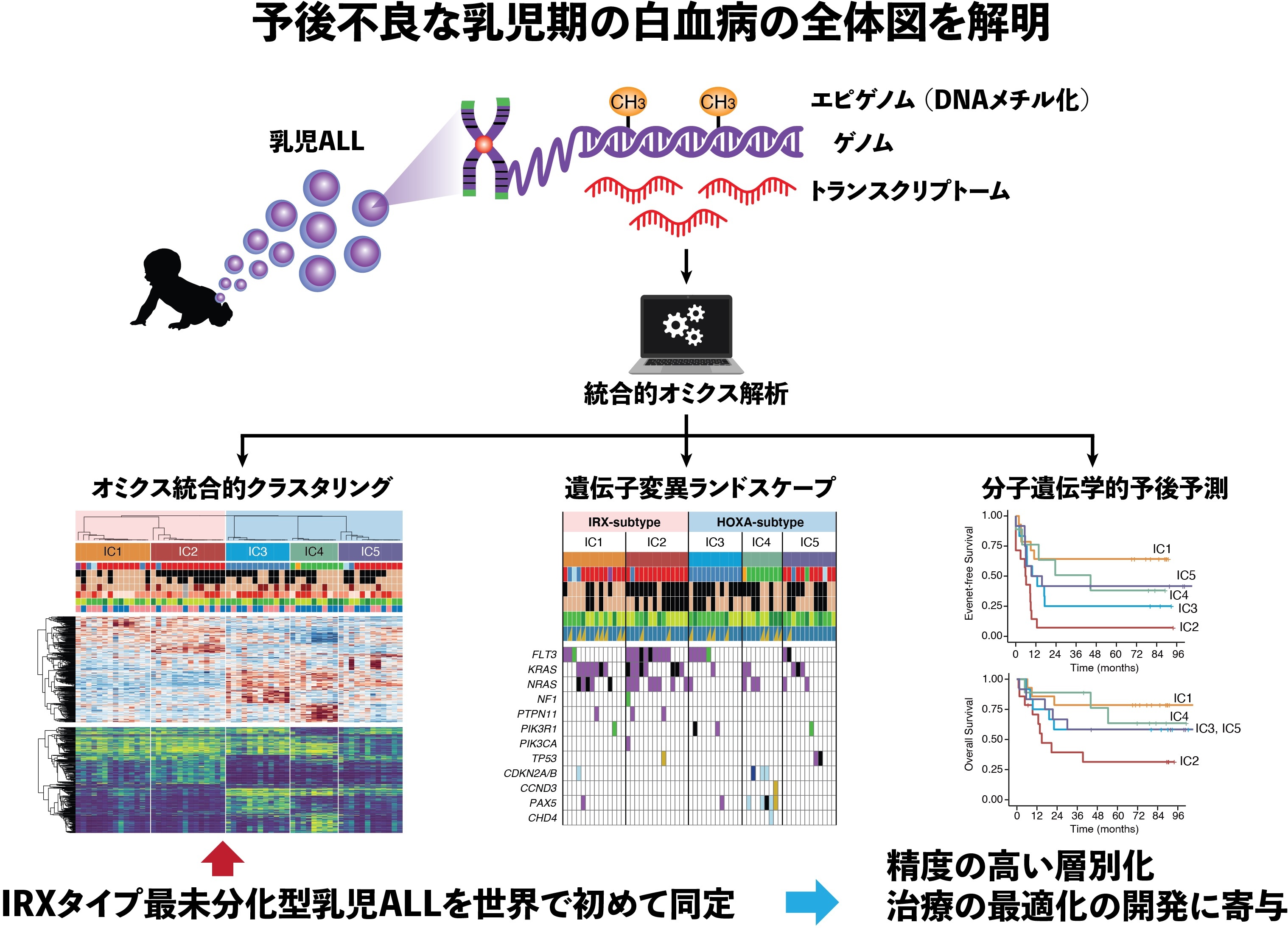 CLL が進行している兆候は何ですか?