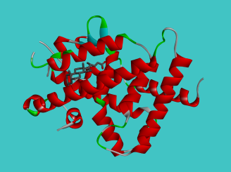 Structural Biology