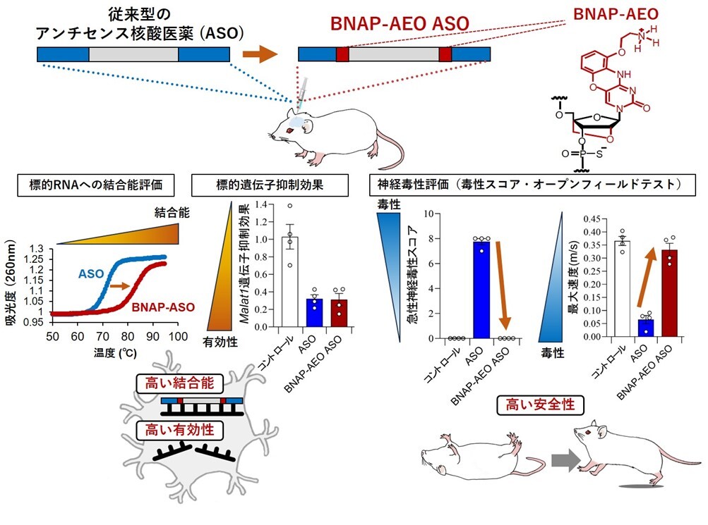 Home < 国立大学法人 東京医科歯科大学 M&D データ科学センター