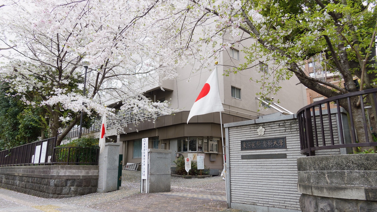 2024年度学部入学式が挙行されました | Science Tokyo 旧・東京医科