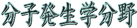 分子発生学分野
