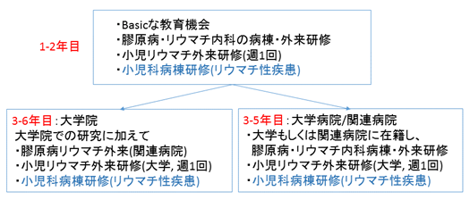 図2. 内科医の研修例