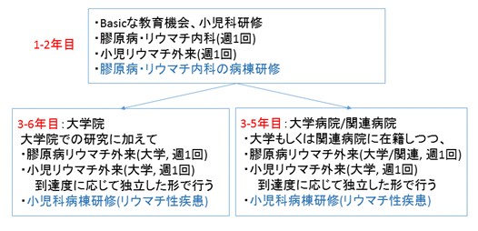 図3. 小児科医の研修例