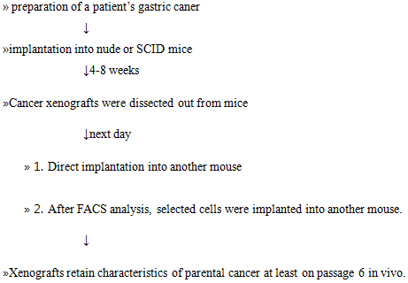 Flow : Summary of procedures: