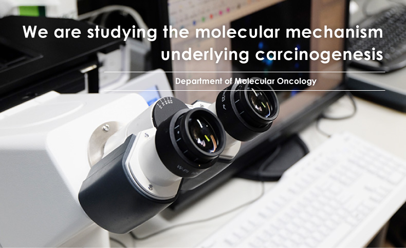 Department of Molecular Oncology