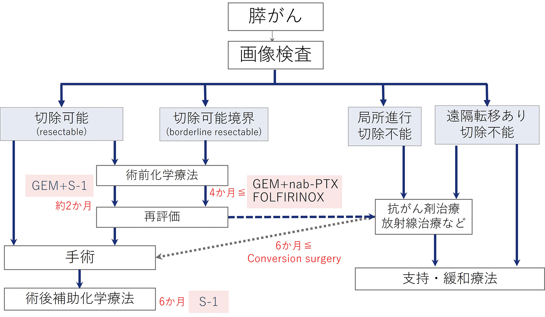 治療の選択肢