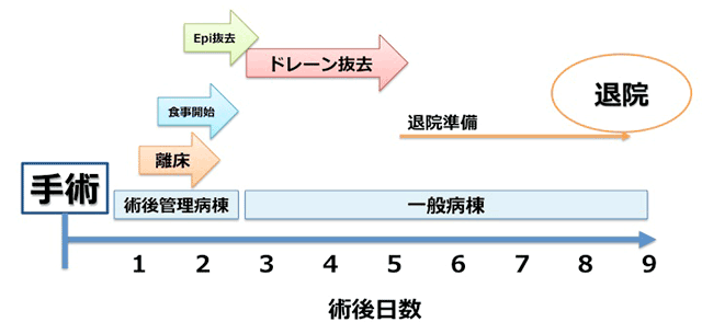 腹腔鏡下肝切除後のおよその経過図