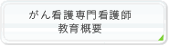 がん看護専門看護師教育概要