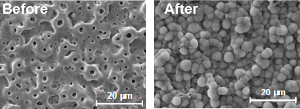 Improvement of bioactivity of bioinert metallic materials by anodic oxidation technique