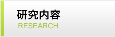 研究内容 RESEARCH