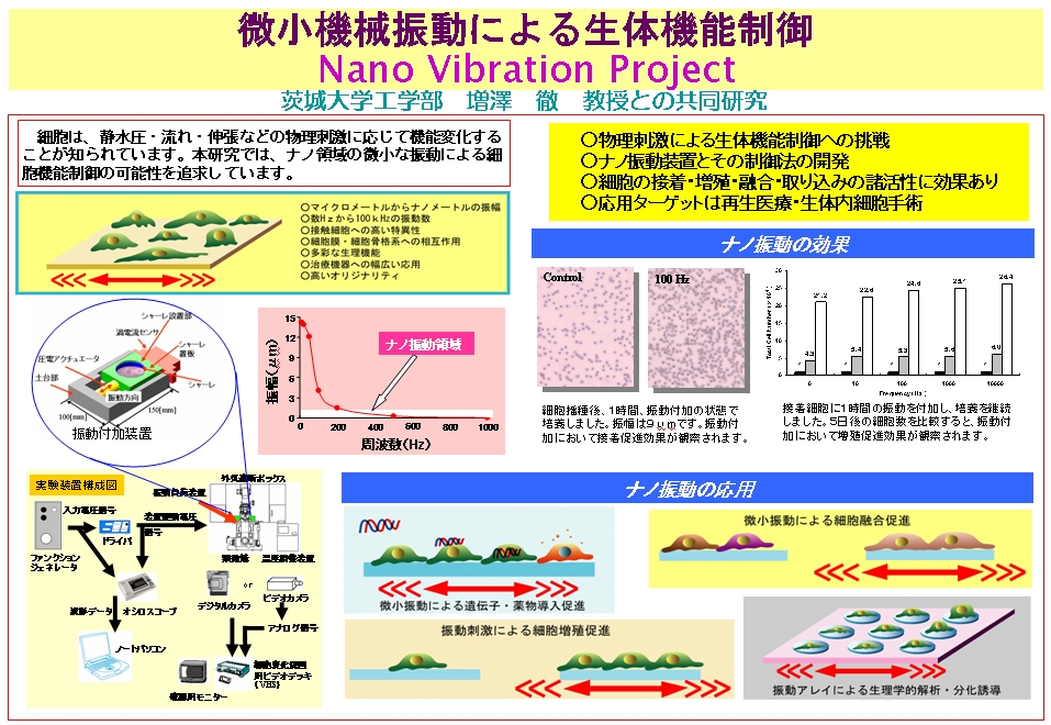 微小機械振動による生体機能制御