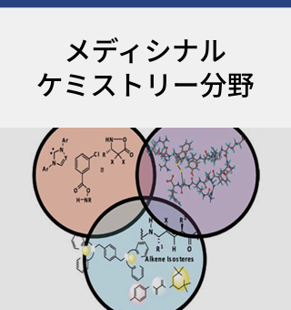 メディシナルケミストリー分野