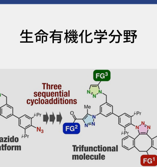 生命有機化学分野