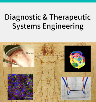 診断治療システム医工学分野