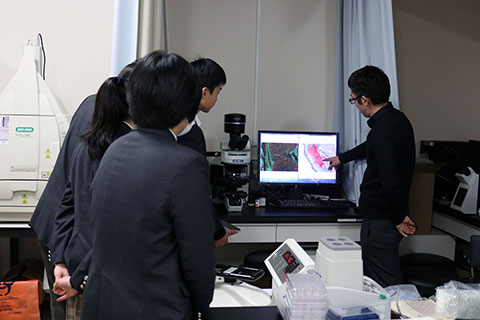 京都市立西京高等学校附属中学校の学生4名が再生医療研究センターに見学に来られました。