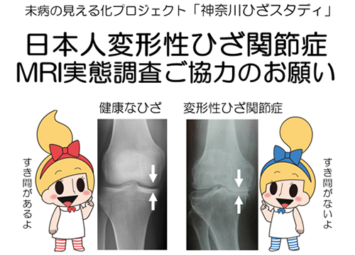 研究代表者　関矢一郎