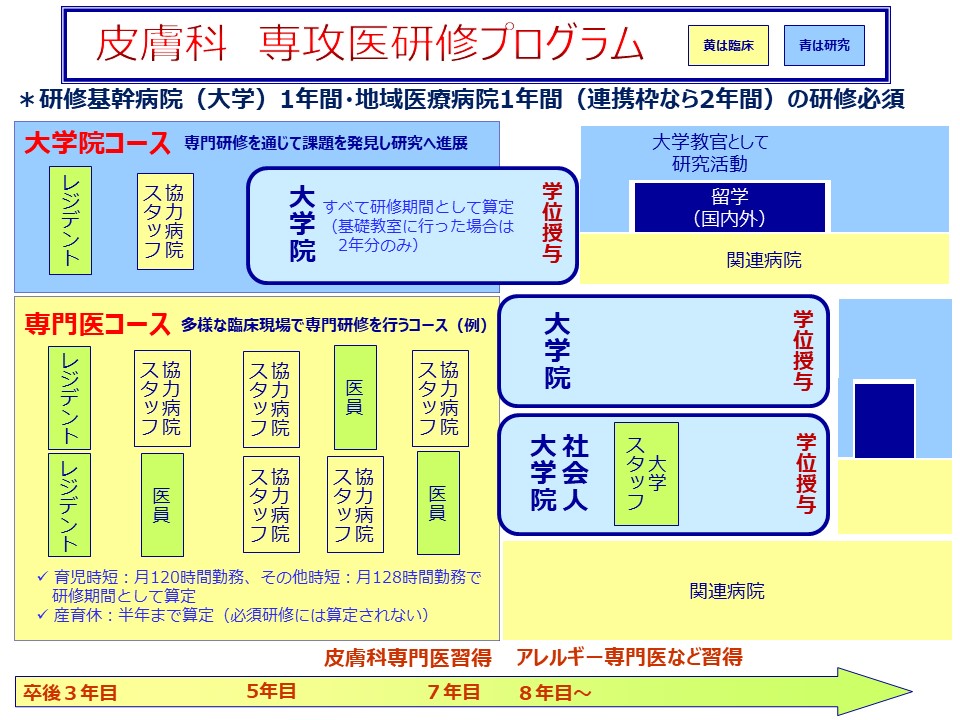 東京医科歯科大学医学部附属病院皮膚科研修プログラム