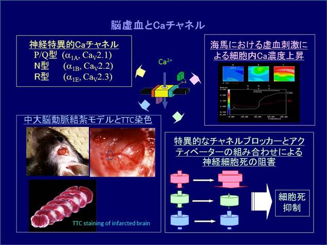 : : D:\new Yakurihomepage\kennkyuu.files\1kyoketsu.JPG