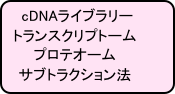 cDNAライブラリー
トランスクリプトーム
プロテオーム
サブトラクション法
