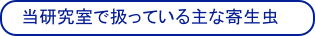 当研究室で扱っている主な寄生虫