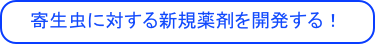 　寄生虫に対する新規薬剤を開発する！
