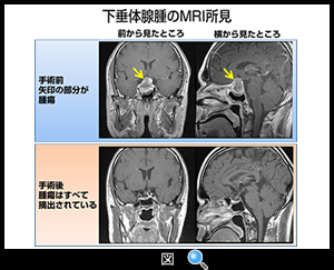 図