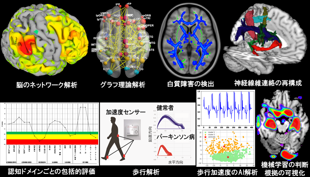 服部 高明 研究紹介 graphical abstract