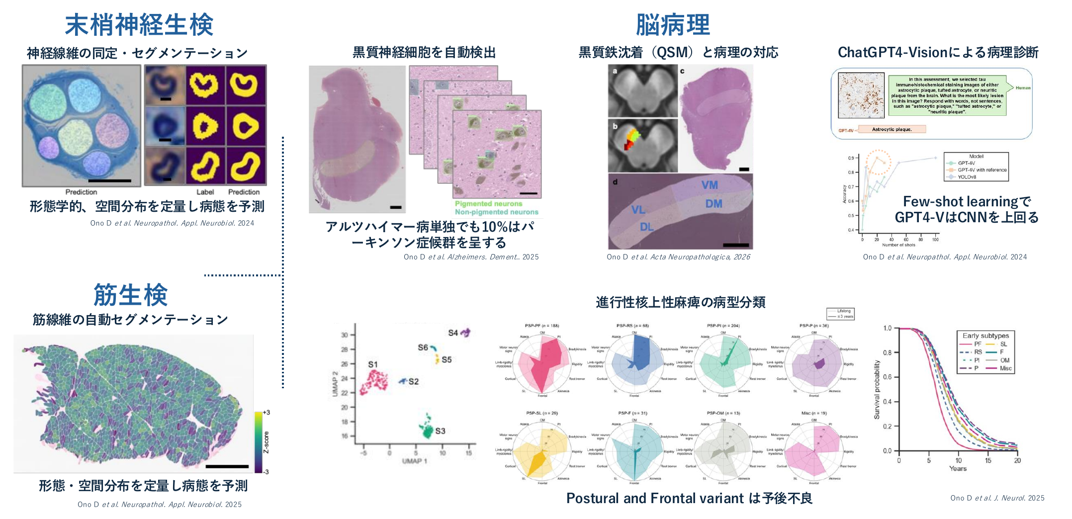 小野 大介 研究紹介 graphical abstract