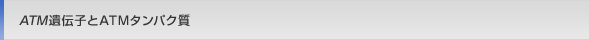 <i>ATM</i>`q ATM^pN