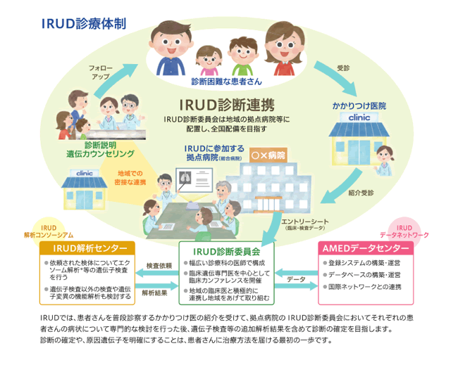 IRUD診療体制